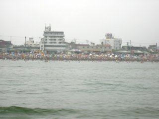 �T�U���r�[�`