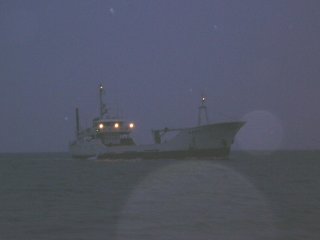 �܂��Â��E�E�E�B