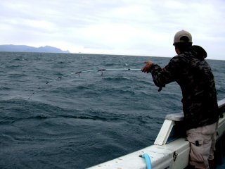 �J�c�I�q�b�g��