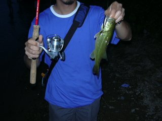 �܂��܂��|�b�p�[