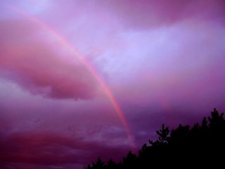 ���C���{�[