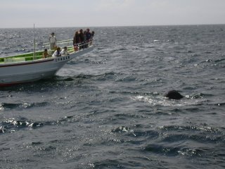 �������`�`�Ɗ���