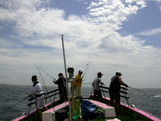 ���ꂻ��I�I