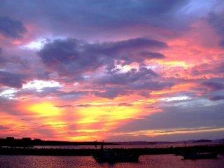 ���P�苙�`����