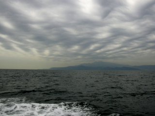 �������ȉ_