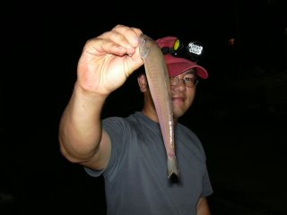 �q�W�^�^�L��