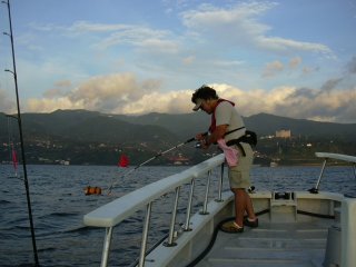 �V�C���q�b�g��