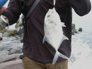 ���E�j�����b�L