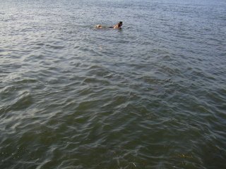 �T�[�t�@�[