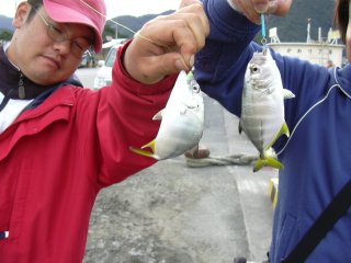 �_�u�����b�L