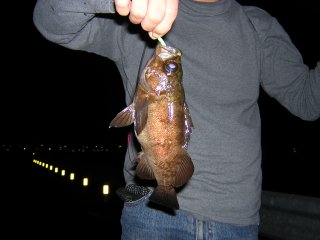 �f�J���o��