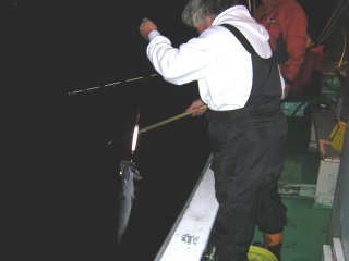 �o�����c