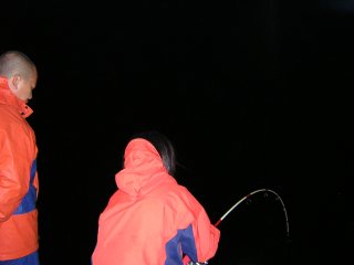 �o���q�b�g��