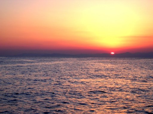 �T���Z�b�g