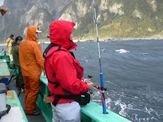 �V���N����