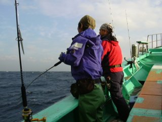 �V���N����