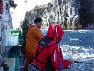 �V���N����