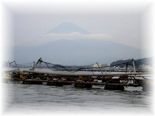 �C�P�X�ƕx�m�R