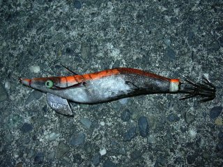 �A�^���G�M