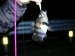 �E�F�C�r�[�ɂ�