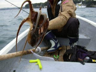 �{���d�_�R