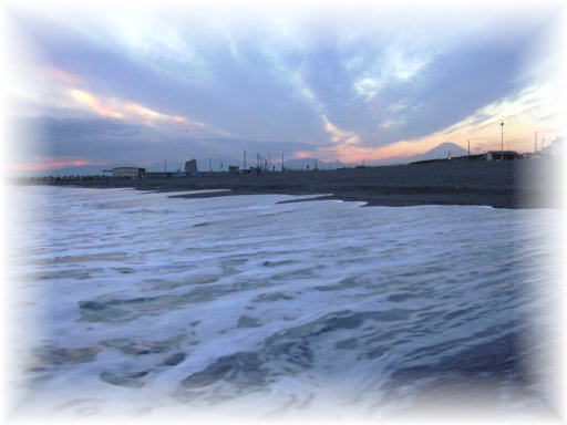 �T�U���r�[�`