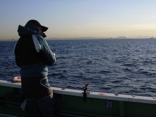 �E���F�O�㎁�ƃG�{�V��A�]�m��