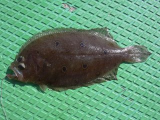 �K���]�E�N