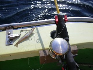 �n���m�_��