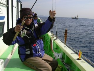 �V���M�X���g���M�X���