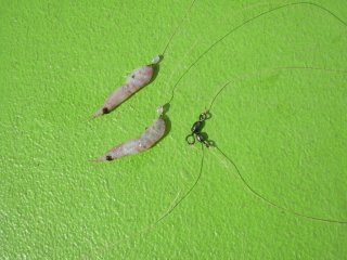 �I�L�A�~����