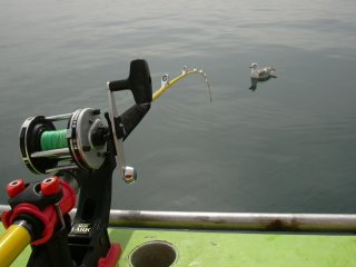 �܂��܂�����Ă���