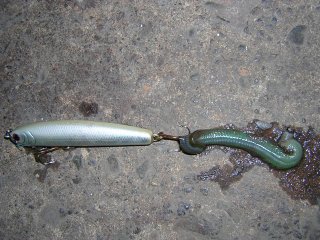 �����_�[�ƃo�`