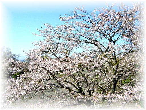 �Ó약�\���C���V�m