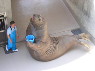 �݂Ȃ����N