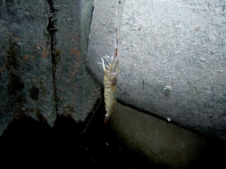 �e�i�K�G�r