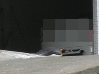 �\�̃y���M��