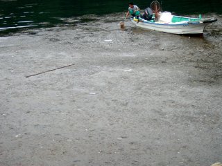 �n�����t������