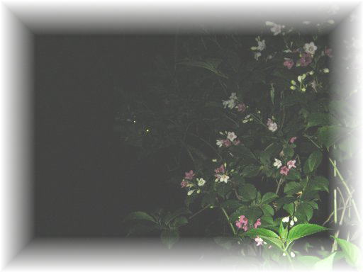 �Q���W�{�^��