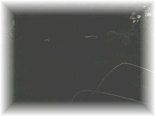 �Q���W�{�^��