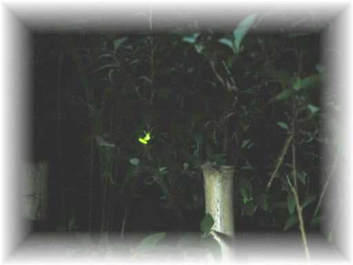 �Q���W�{�^��������