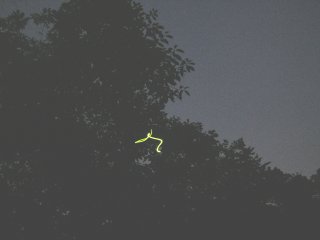 �z�^������