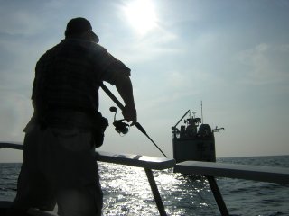 �~�����Ƒ�C