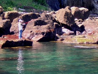 �V�����[�U��