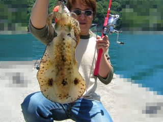 �A�I���C�J�@1.2kg