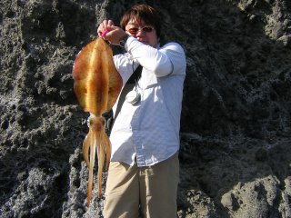 �A�I���C�J�@�Q�D�P����