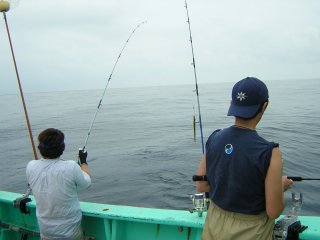 �L�n�_�q�b�g��