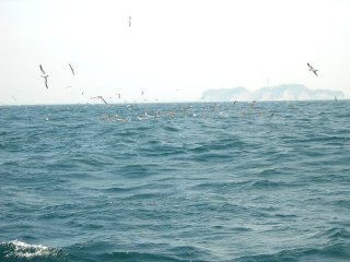 �g�����}