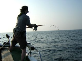 �V�C���q�b�g��