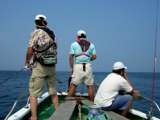 �V�C���́H�H